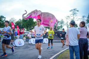 BIB: 
                            <button type="button" onclick="openModal(26551670)" class="btn btn-primary btn-sm float-right btn-popup" data-toggle="modal" data-target=".modal-high-quality">
                        <i class="fas fa-shopping-cart"></i> Add to Cart
                    </button>
                                            <button type="button" onclick="isThisMe(26551670, true)" class="btn btn-success btn-sm float-right btn-popup btn-isme hidden" data-toggle="tooltip" data-placement="bottom" title="นี่คือรูปของคุณใช่ไหม คลิกที่นี่เพื่อเอาเข้าอัลบั้ม">
                        <i class="fas fa-plus"></i> Add to album
                    </button>
                    <button type="button" onclick="isThisMe(26551670, false)" class="btn btn-warning btn-sm float-right btn-popup btn-isnotme hidden">
                        <i class="fas fa-ban"></i> Remove from album
                    </button>